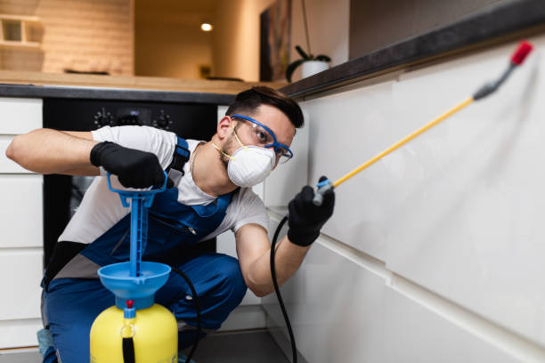 Best Wildlife Control Services  in Flatonia, TX