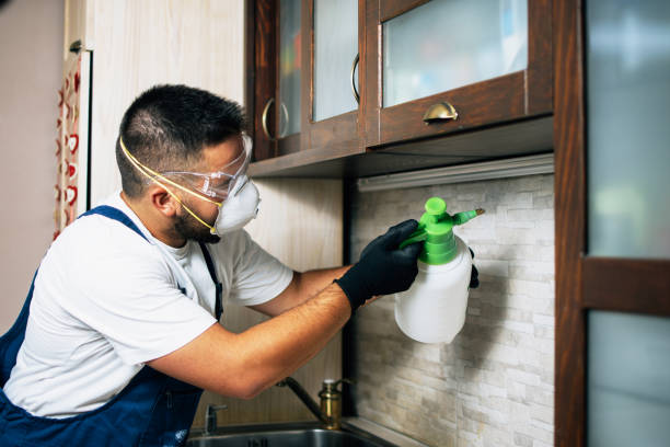 Best Best Pest Control Companies  in Flatonia, TX