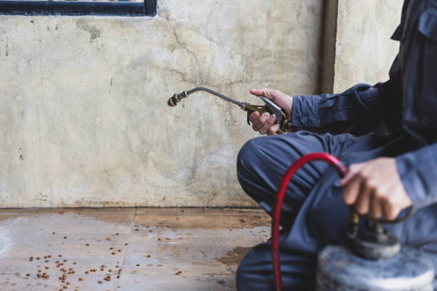 Best Exterminator Services  in Flatonia, TX